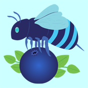 Blueberry Bee