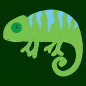 Cute Chameleon Lizard