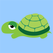 Cute Turtle