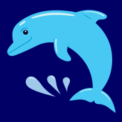 cute blue dolphin