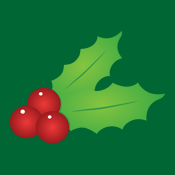 Christmas Holly Mistletoe Mistle Toe