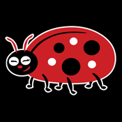 Cute Lady Bug Ladybug Insect