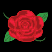 Beautiful Elegant Red Rose